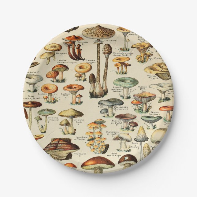 Mushroom Collection  Paper Plate (Front)