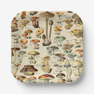 Mushroom Collection Paper Plate