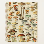 Mushroom Collection  Planner<br><div class="desc">Please visit my store for more interesting design and more colour choice.
=> zazzle.com/colorfulworld*</div>