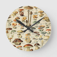 Mushroom Collection  