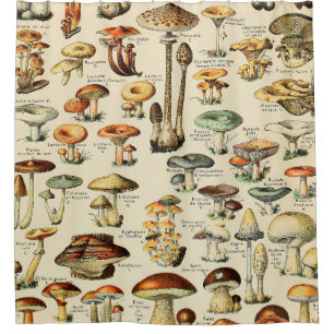 Mushroom Collection Shower Curtain