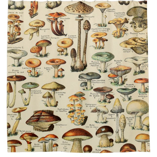 Mushroom Collection  Shower Curtain (Front)