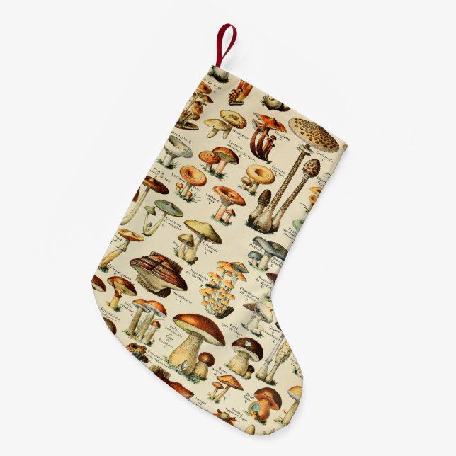 Mushroom Collection    Small Christmas Stocking (Front (Hanging))