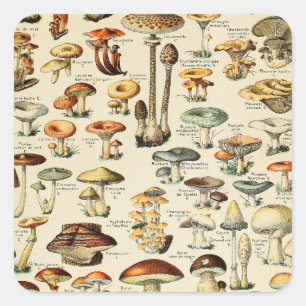 Mushroom Collection Square Sticker