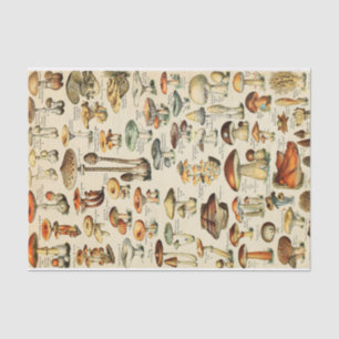 Mushroom Collection  Tissue Paper