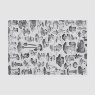 Mushroom Collection  Tissue Paper