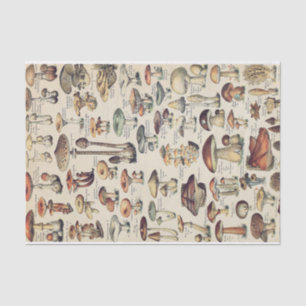 Mushroom Collection  Tissue Paper