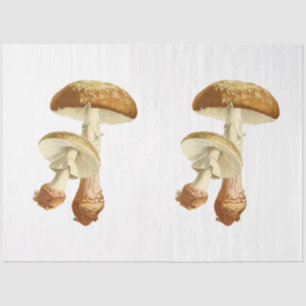 Mushroom Ephemera Design Series #26 Tissue Paper