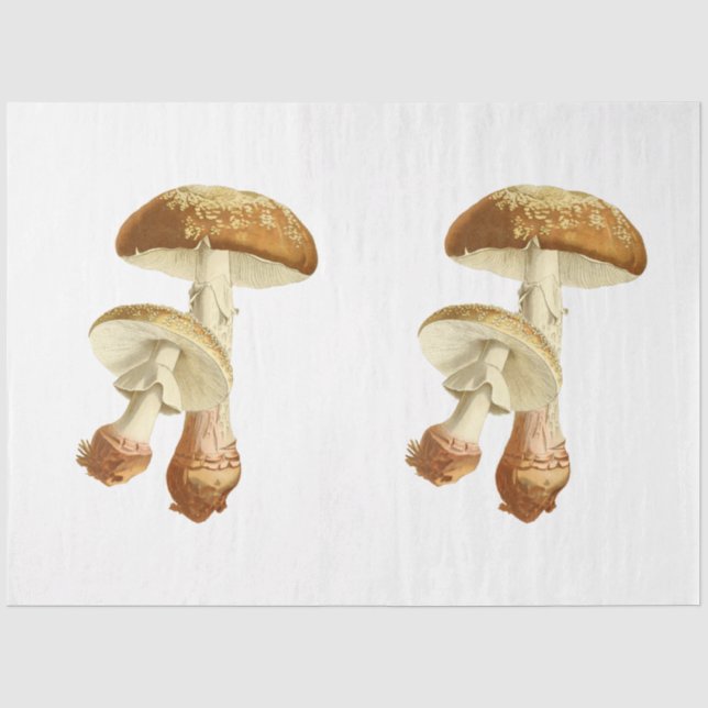 Mushroom Ephemera Design Series #26 Tissue Paper (Front)