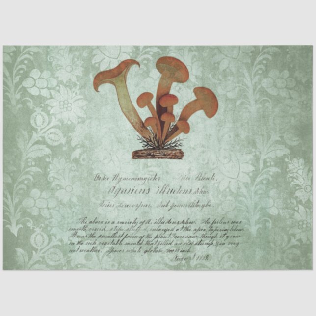 Mushroom Ephemera Design Series #2 Tissue Paper (Front)