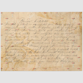 Mushroom Ephemera Design Series #4 Tissue Paper