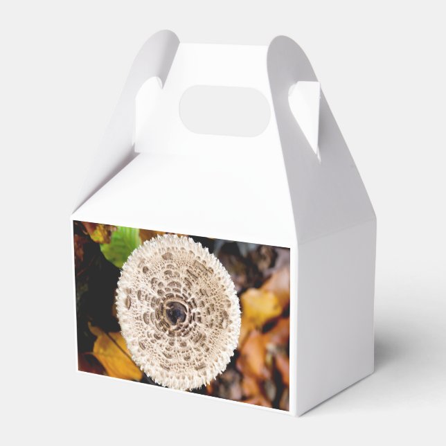 Mushroom Favour Box (Back Side)