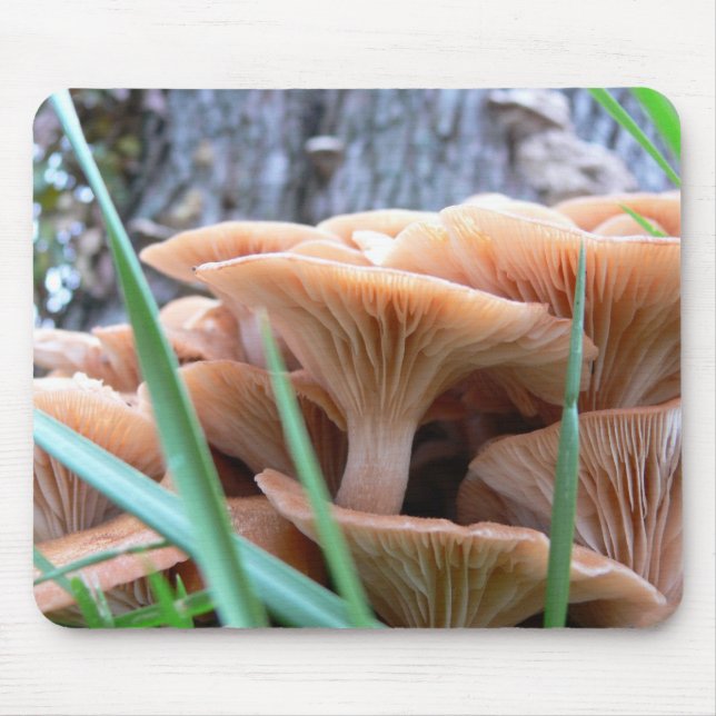 Mushroom Forest Card Mouse Mat (Front)