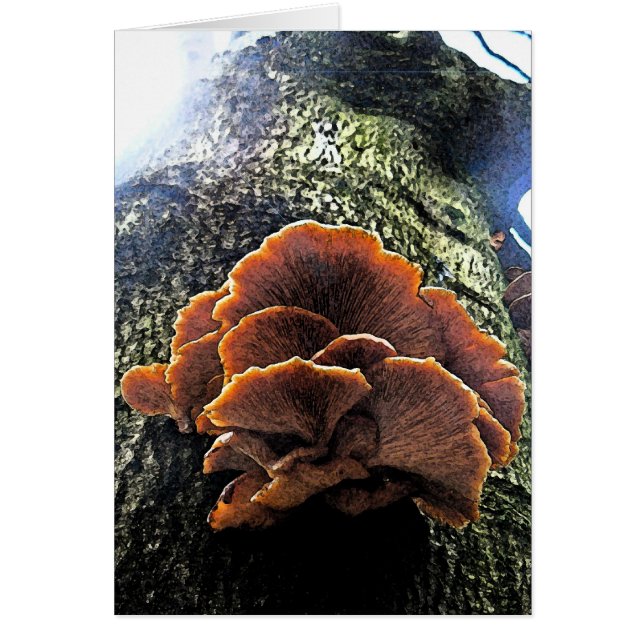 Mushroom Fresco (Front)