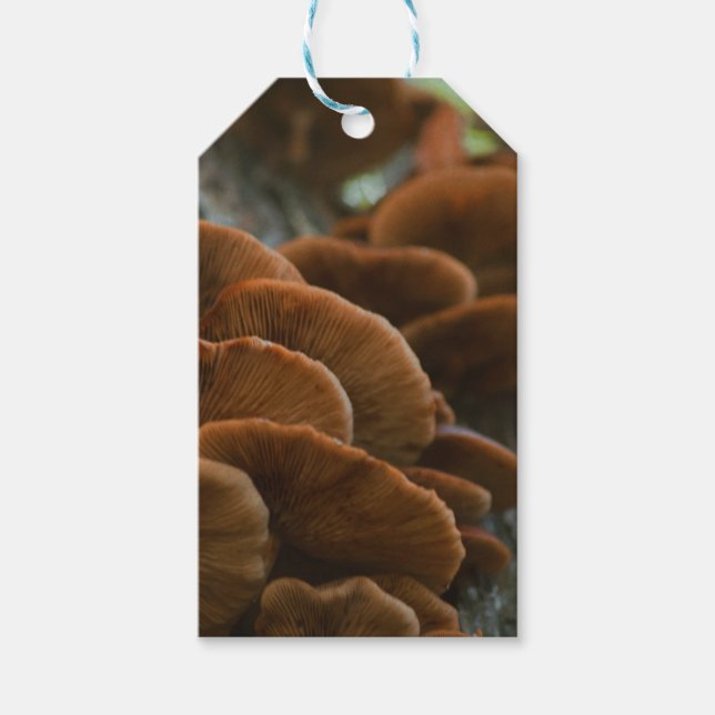 Mushroom gift tags (Front)