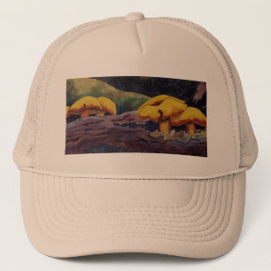 Mushroom group in the deep woods Hat
