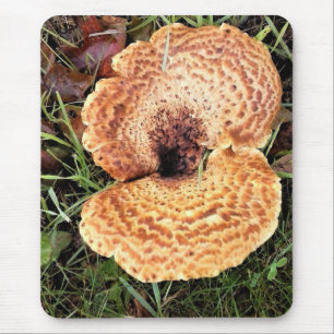 Mushroom in the Forest Mouse Mat