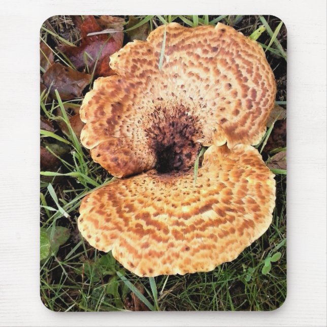Mushroom in the Forest Mouse Mat (Front)