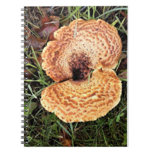 Mushroom in the Forest Notebook