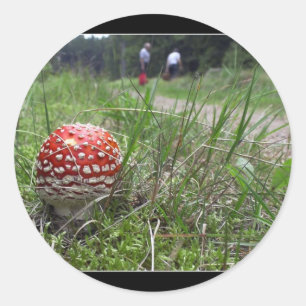 Mushroom In The Grass Classic Round Sticker