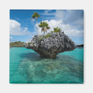 Mushroom Islets In Fiji Magnet