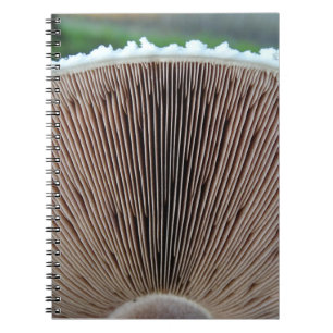 Mushroom Journal