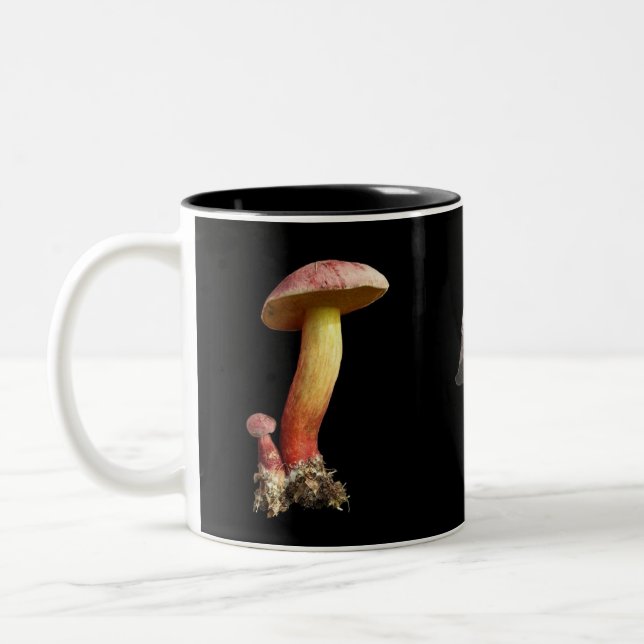 Mushroom lover's mug (Left)
