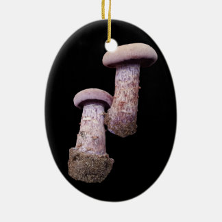 Mushroom lover's ornament