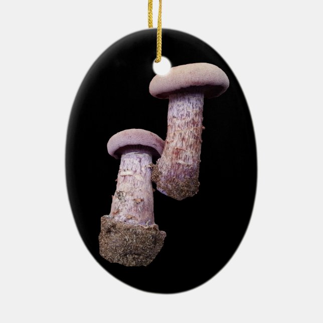 Mushroom lover's ornament (Back)