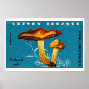 Mushroom Matchbox Art Print, Polish Vintage Folk Poster