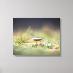 Mushroom Nature Photo Canvas Print