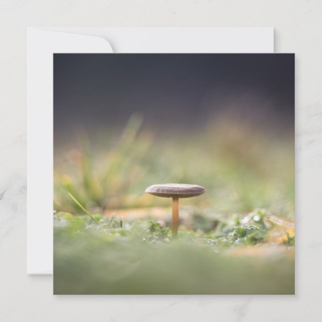 Mushroom Nature Photo Card (Front)