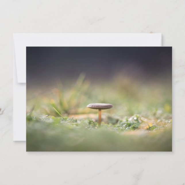 Mushroom Nature Photo Card (Front)