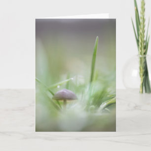 Mushroom Nature Photo Card