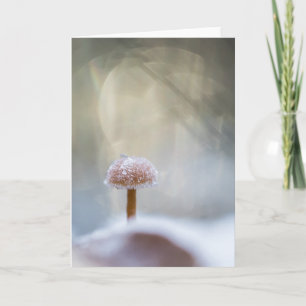 Mushroom Nature Photo Card