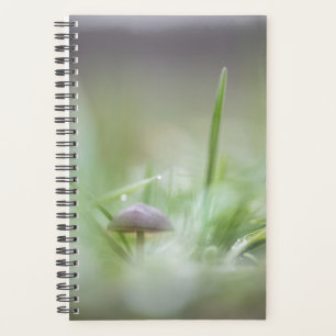 Mushroom Nature Photo Planner