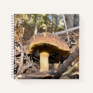 Mushroom notebook