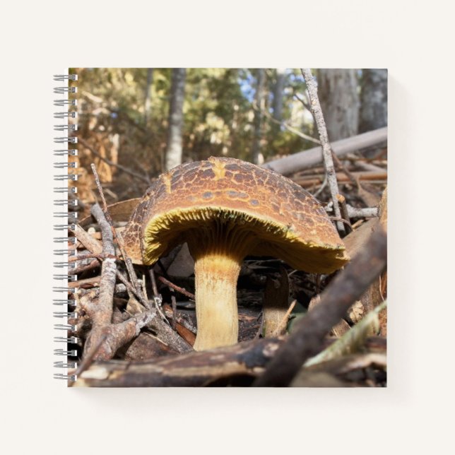 Mushroom notebook (Front)