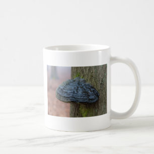 Mushroom on a tree trunk in the forest coffee mug
