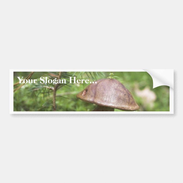Mushroom On Moss Bumper Sticker (Front)