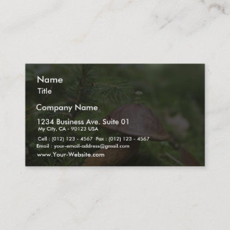Mushroom On Moss Business Card