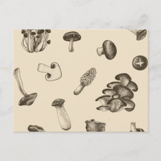 Mushroom pattern postcard
