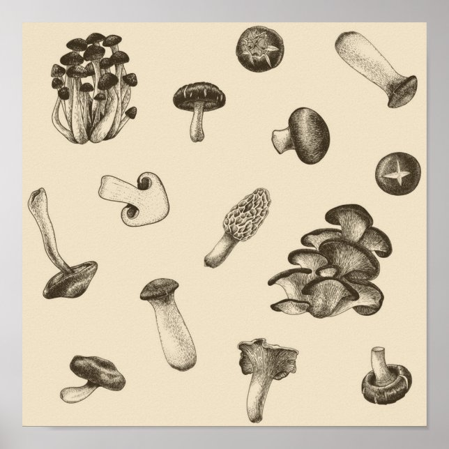 Mushroom pattern poster (Front)