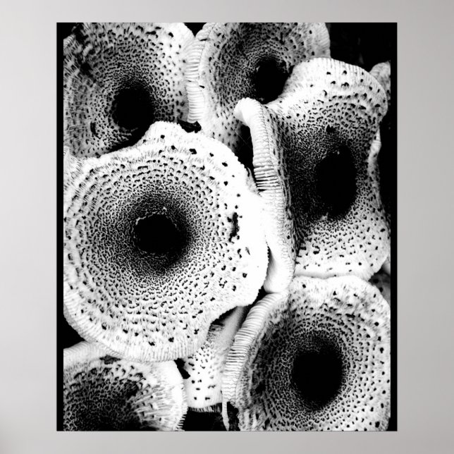 Mushroom Print Art Classic  (Front)