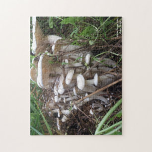 Mushroom Puzzle