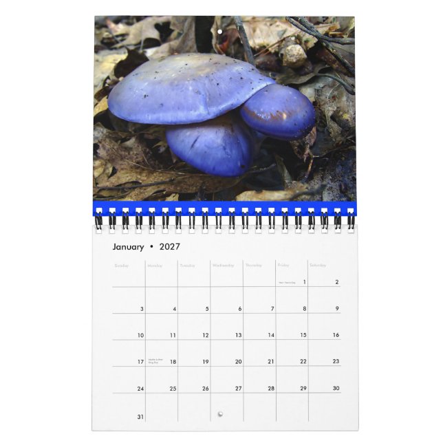 Mushroom Rainbow 2013 calendar (Jan 2027)