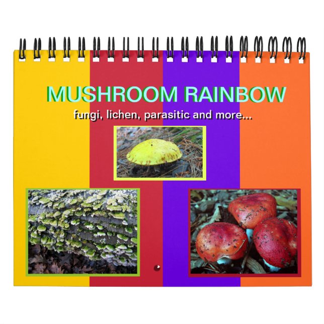 Mushroom Rainbow 2014 calendar (Cover)