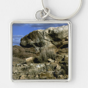 Mushroom Rock Key Ring