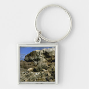 Mushroom Rock Key Ring