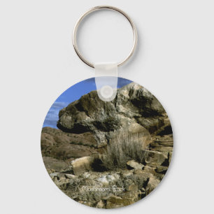 Mushroom Rock Key Ring